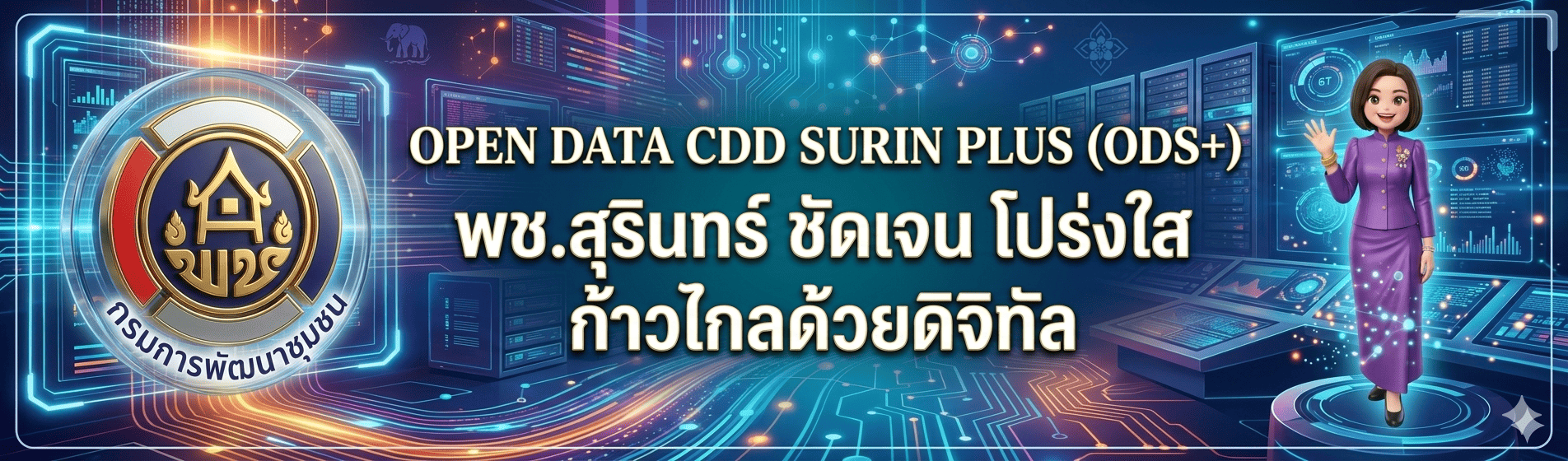 CDD data surin